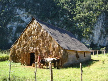 View of barn on field against house