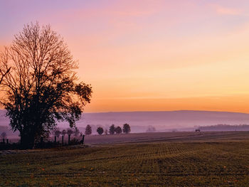 Special light right before sunrise at the end of november near mühlhausen in thuringia in germany