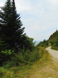 Scenic view of landscape against cloudy sky