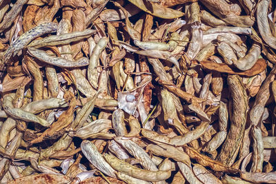 Dried bean pods