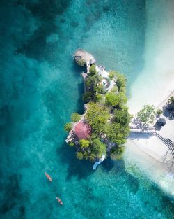 Scenic view of sea and swimming underwater