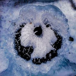 Directly above shot of floral pattern