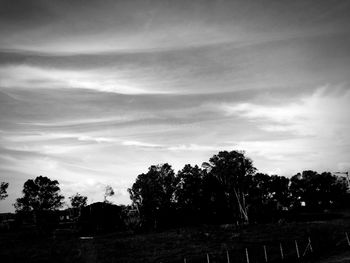 Silhouette trees on field against sky