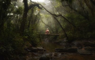 Rear view of mid adult man sitting on footbridge over stream in forest