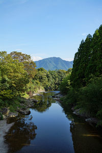 Scenic view of lake by trees against sky