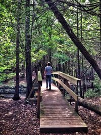 People walking on footbridge