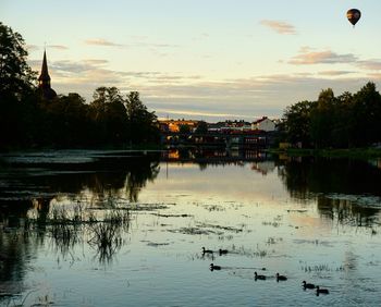 Swans swimming in lake against sky during sunset