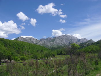 Scenic view of landscape and mountains against sky