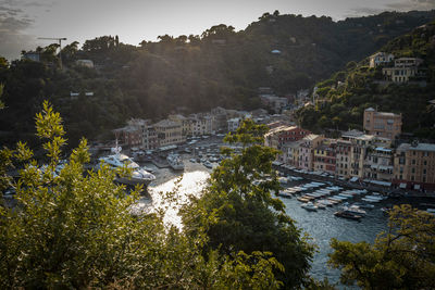 Positano harbour view from castle