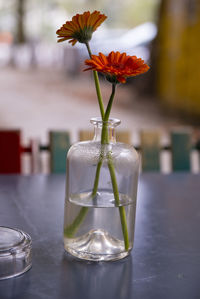 Close-up of flower vase on glass table