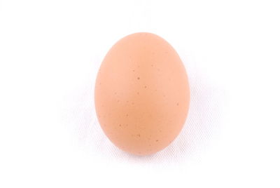 Close-up of egg against white background