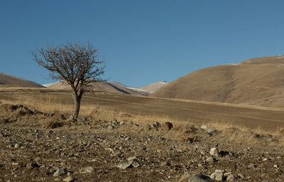 Scenic view of desert against clear sky