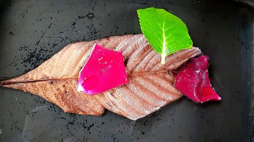 High angle view of pink leaves on table