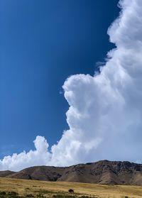 Low angle view of arid landscape against sky