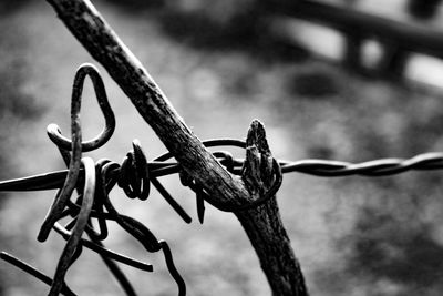 Close-up of barbed wire