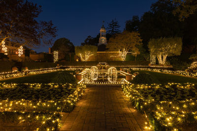 Illuminated footpath amidst plants against sky at night