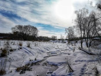 Bare trees on snow covered landscape