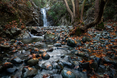 View of waterfall in forest