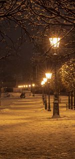 Illuminated street lights in park at night