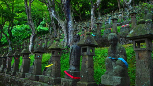 Clothes hanging on tree against building