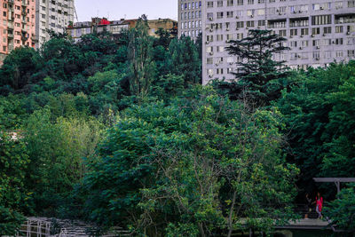 Trees and plants growing in city against buildings