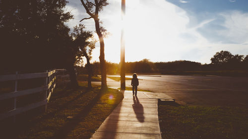 Rear view of man walking on street