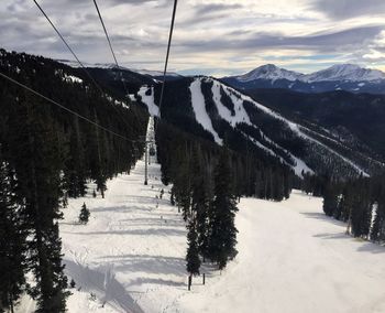 Close-up of hanging tree against sky
