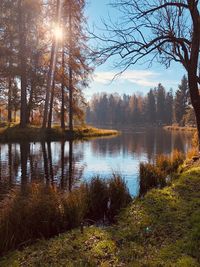 Scenic view of lake in forest against bright sun