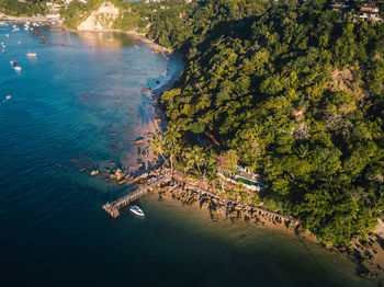 High angle view of trees by sea