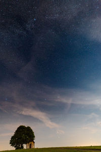 Low angle view of trees against sky at night