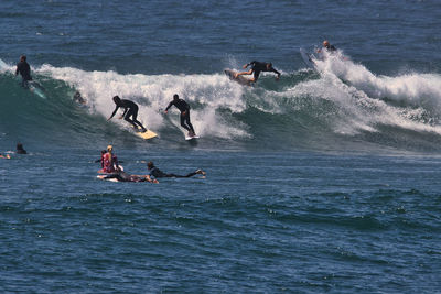 People enjoying in sea