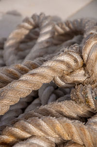 Close-up of ropes at harbor