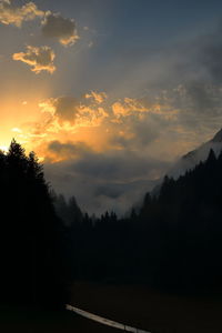 Silhouette trees against sky during sunset