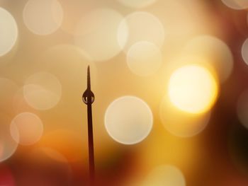 Close-up of illuminated lights at sunset