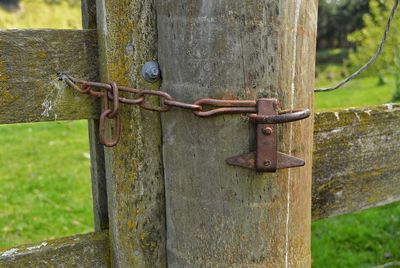 Close-up of rusty metal gate