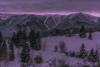 Scenic view of snowcapped mountains against sky during winter