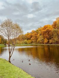 Scenic view of lake by trees against sky