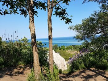 Scenic view of sea against clear blue sky