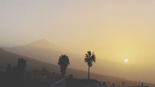 Silhouette palm trees against clear sky during sunset