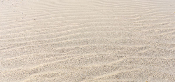 Full frame shot of sand dune