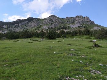 Scenic view of landscape against sky