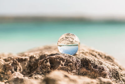 Close-up of rock on beach