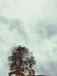 Low angle view of tree against sky