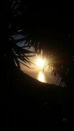 Silhouette trees against sky during sunset