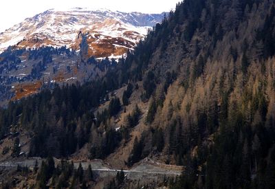 Scenic view of snowcapped mountains during winter