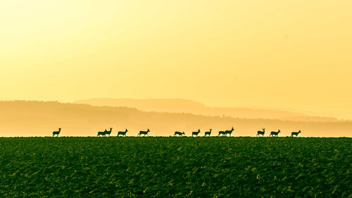 View of deers on field during sunset