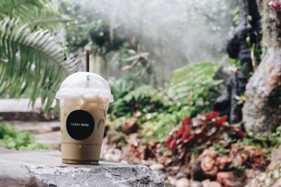 Close-up of drink on rock against wall