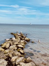 Scenic view of sea against sky