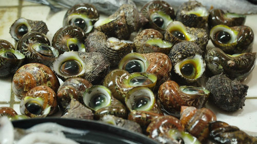 Fresh seafood in asian market. sale of fresh clams fish in the asian public store. 