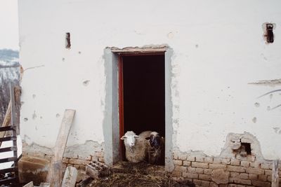 Entrance of old building